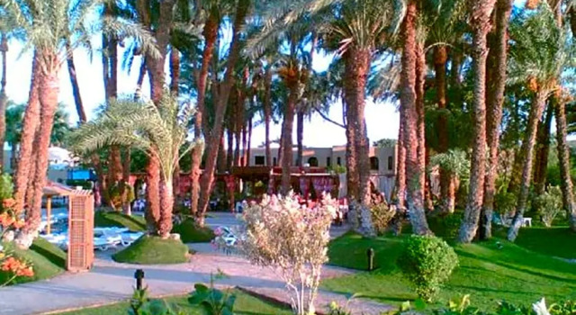 Двухместный номер Standard с видом на сад Mercure Luxor Karnak