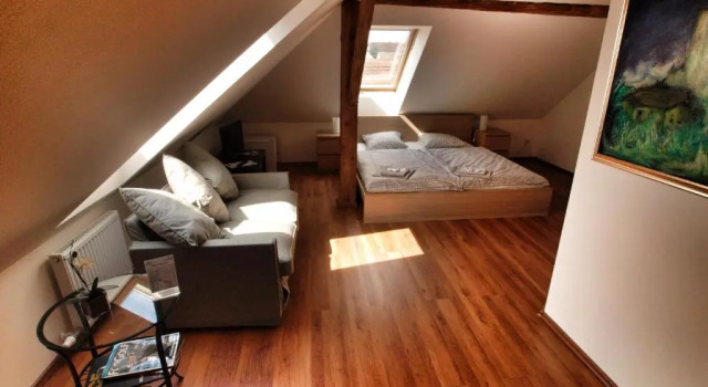 Трёхместный номер Standard Hotel Pod Kokšínem