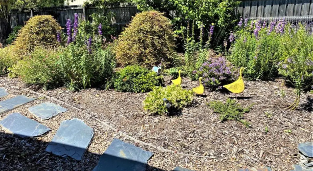 The Cosy Bungalow, Buchen Sie Hotel Portarlington Bellarine Peninsula