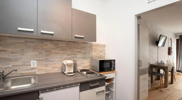 Апартаменты Modern Studio-Apartment in Gosau near Hallstatt