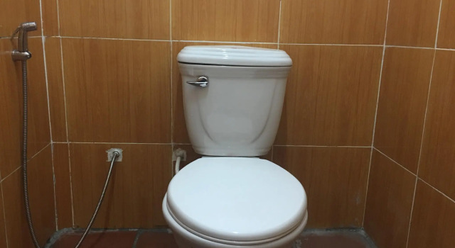 Кровать в общем номере Malibu Hostel