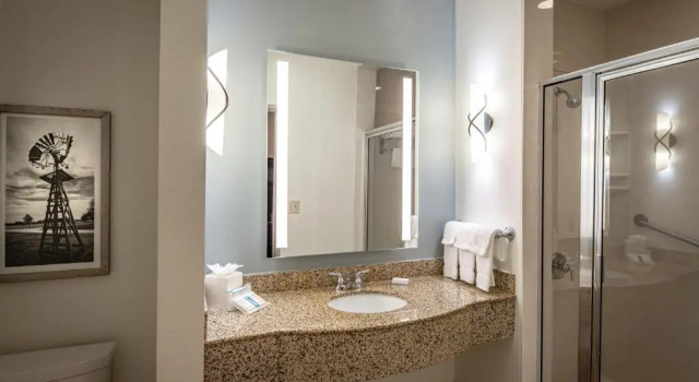 Номер Standard Hilton Garden Inn Granbury