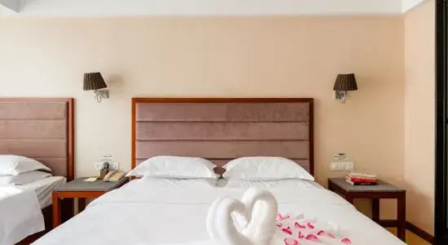 Номер Deluxe Golden Palm Hotel