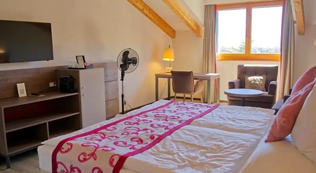 Двухместный номер Standard с видом на сад Hôtel des Vignes