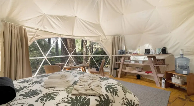 Студия Stay Wilder Sunshine Coast
