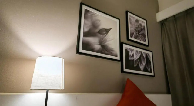 Одноместный номер Superior Akasaka Yoko Hotel