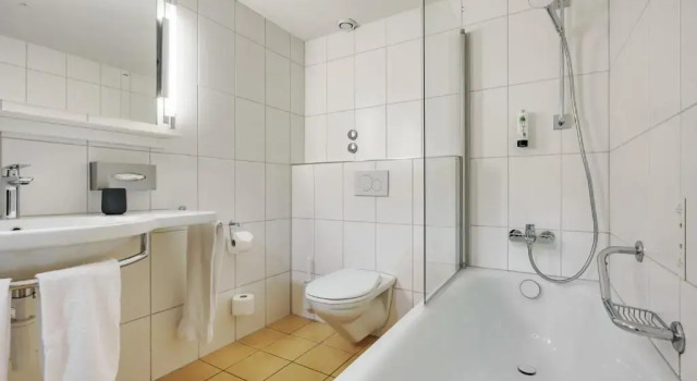 Полулюкс flexymotel Wil