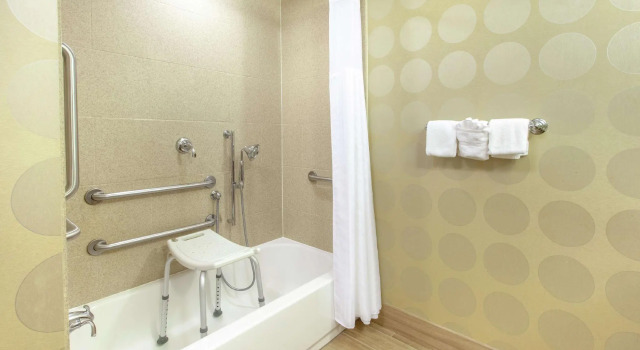 Четырёхместный номер Standard Hilton Garden Inn Ann Arbor