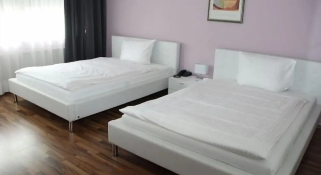 Люкс Parkhotel David