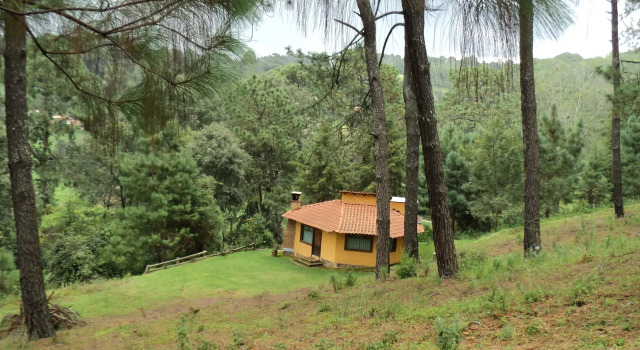 Cabañas El Pinar, Book Hotel SPA-hoteller i Mazamitla, SPA
