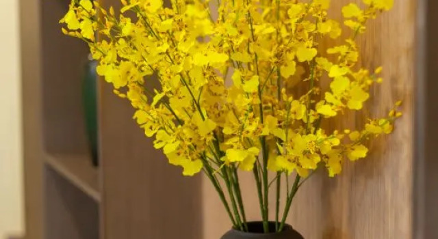 The Orchid Hotel, Book Hotel Hoteller i Suzhou med parkering, Parkering