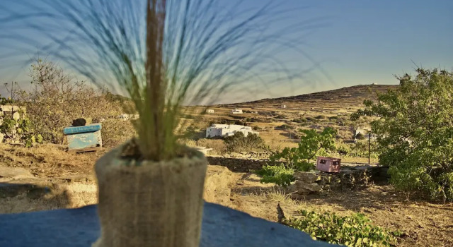Коттедж Classic Sifnos Roots