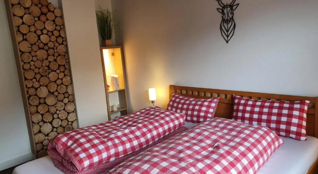 Двухместный номер Standard Boutique Hotel Alpenhof