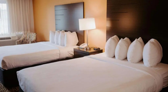 Четырёхместный номер Standard Sonoma Winegrowers Inn