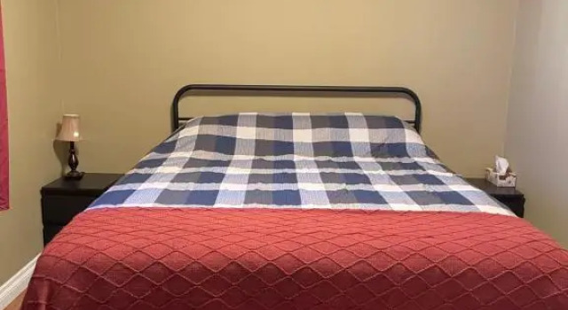 Двухместный номер Standard Lemon Tree Inn