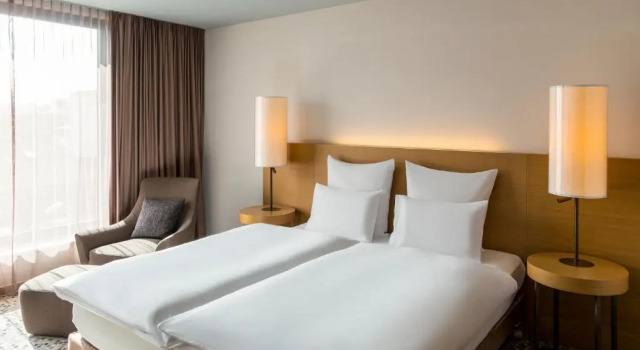 Двухместный номер Superior Pullman Basel Europe