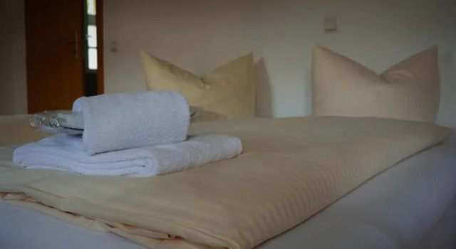 Двухместный номер Comfort Hotel Gasthaus Weisser Mönch
