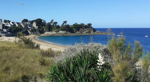 Апартаменты Les Grands Pins - plage du Val à 80 m - St Malo Rothéneuf