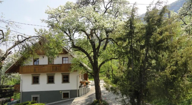 Номер Standard Farm Stay Dolinar Krainer
