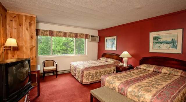 Номер Premium Snowy Owl Inn