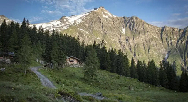 Апартаменты Cosy Apartment Near ski Area
