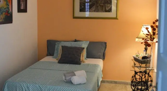 Standard Single room with garden view Magic Garden House