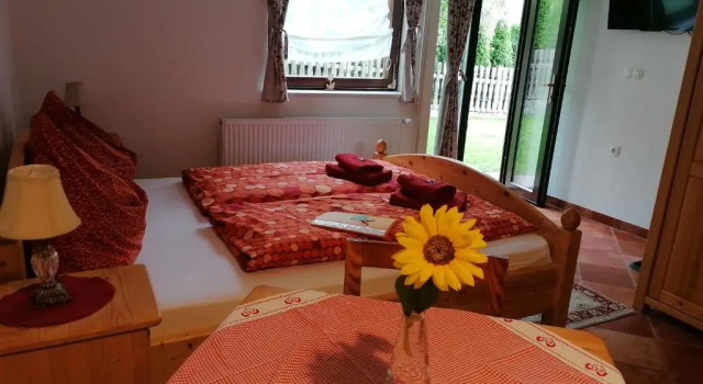 Студия Apartments Mertelj