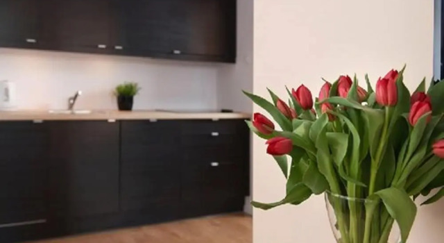 Staywin Aura Gdańsk I, Забронировать Отель Недорогие отели Гданьска, рядом с Дом Uphagen, недорого