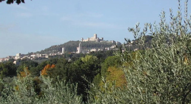 Villa Villa Rosy