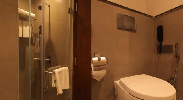 Двухместный номер Superior Pride Elite Haridwar