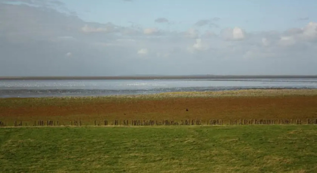 Homestay Bartlemabeetsma, Prenota Hotel Oude Bildtzijl Frisia