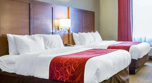 Четырёхместный люкс Comfort Suites University