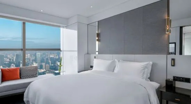 Семейный люкс Premier с 2 комнатами Green House Hotel
