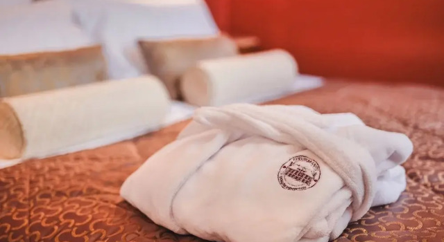 Номер Deluxe Château Hôtel - Domaine de Coeurmandie