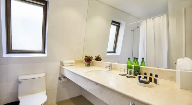 Двухместный полулюкс Park Plaza Bonaparte Boutique