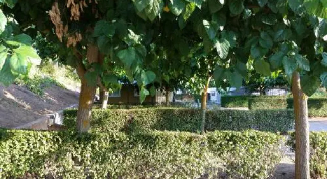 Montsant Park Camping & Bungalow, Buchen Sie Campingplatz Hotels in Ulldemolins mit Pool, Schwimmbad
