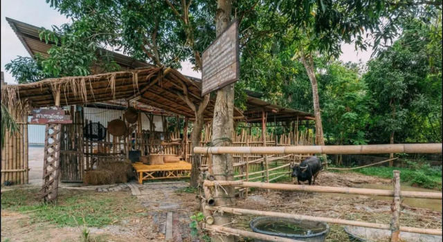Трёхместный номер Deluxe Phuket Nonnita Boutique Resort & Organic Farm
