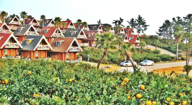 Вилла Jungmun Log Pension & Resort