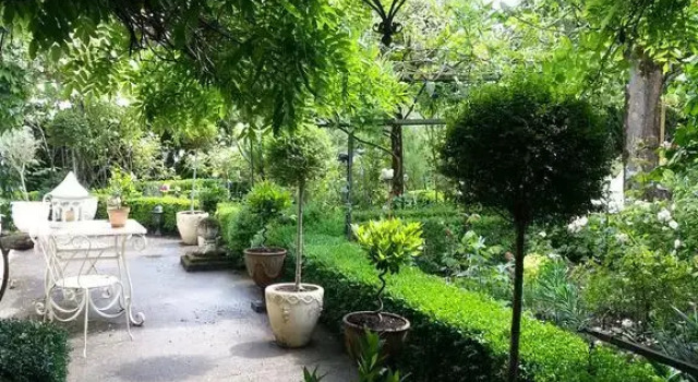 Le Jardin D'ivoire, Boek Hotel  