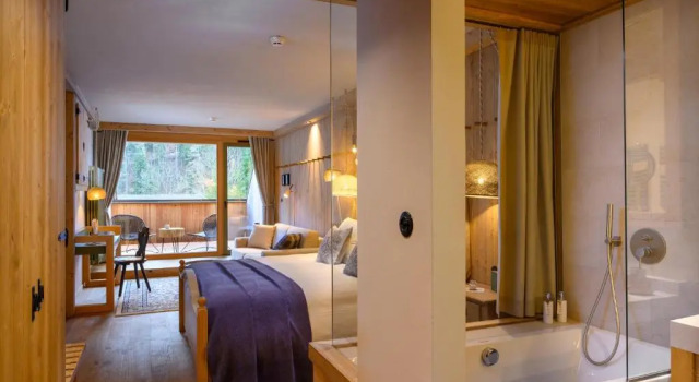 Полулюкс с балконом Vila Planinka Boutique Hotel