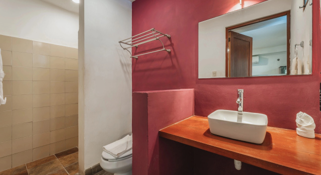 Одноместный полулюкс Casa Aura Hotel, Mérida
