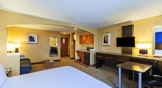 Двухместный полулюкс Best Western Premier Houston Downtown/Convention Center Hotel