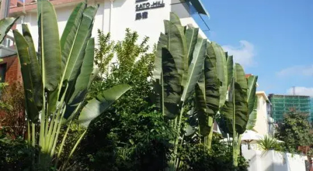 Sato-Hill Homestay, Prenota Hotel Hotel a Yunnan con piscina, Piscina