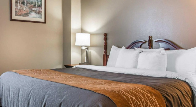 Номер Standard Comfort Inn & Suites Taylor - Detroit