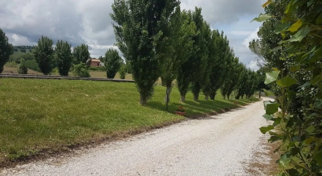 Villa Bice Agriturismo, Rezervovat Vila Tolentino 