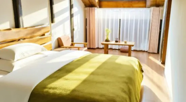 Люкс Enjoying the Flowing Years Homestay in Langzhong