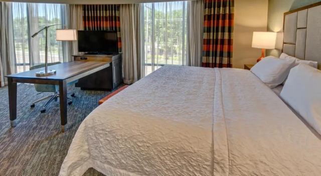Одноместный люкс Hampton Inn & Suites Memphis Germantown