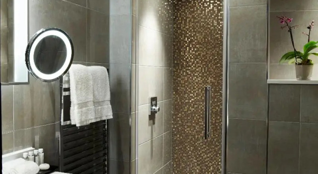 Двухместный номер Standard с видом на реку Hyatt Regency London Albert Embankment