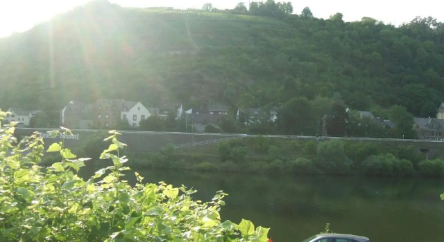 Апартаменты Bachmeiers Gasthaus Traube Niederfell