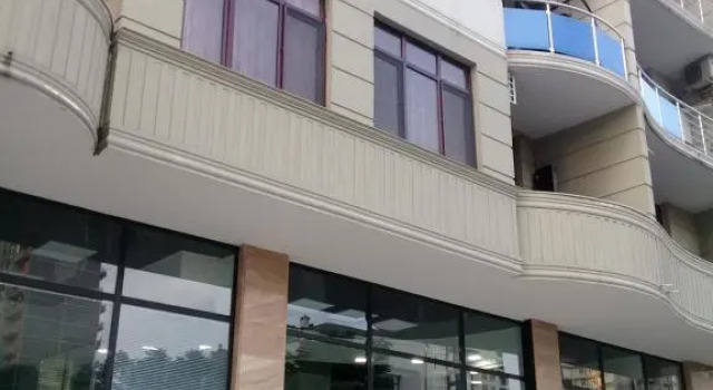 Apartment on Javakhishvili 3